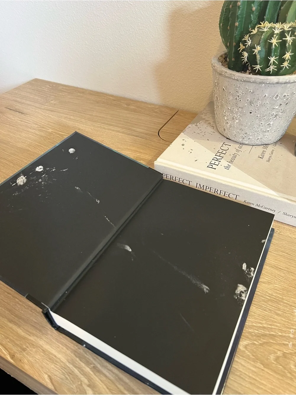 Xiphactinus Rich Shapero Hardcover Book 2025 Silicon Valley Satire Fiction⁠